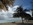 Barbados-Southern Palms Beach 8
