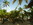 Hotelstrand am Riu Bambu Punta Cana 4
